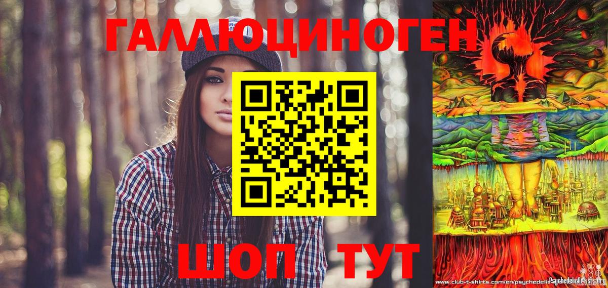 Галлюциногенные грибы Psilocybe  Вход с VPN  Новороссийск  Псилоцибиновые грибы прущие грибы 